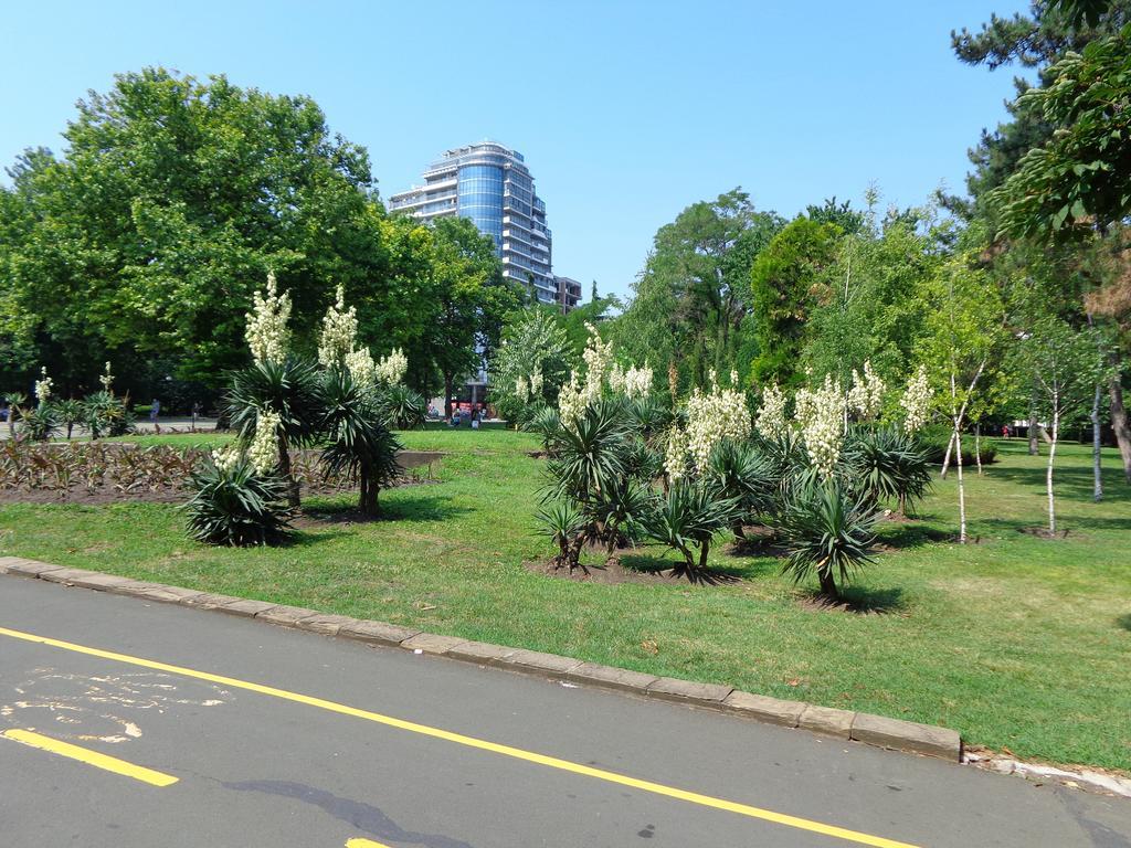 Zoya Apartment Burgas City Exteriér fotografie